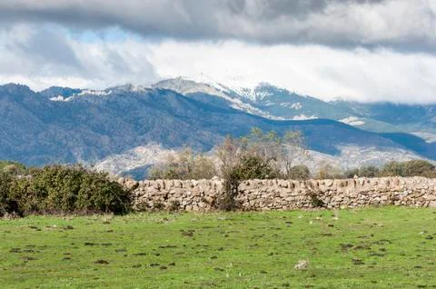 Stone wall in the field Stock Photos