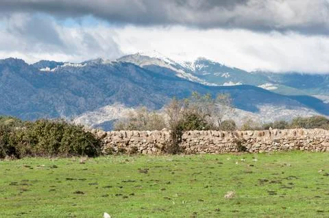 Stone wall in the field Stock Photos