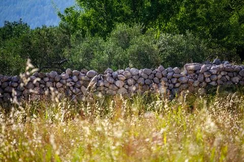Stone wall in the field Stock Photos