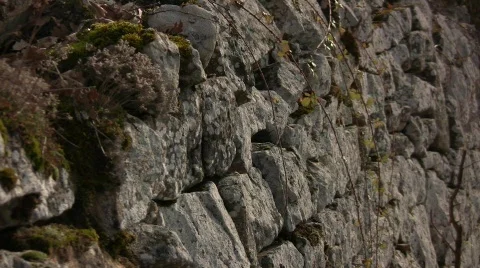 Stone Wall Stock Footage 329246