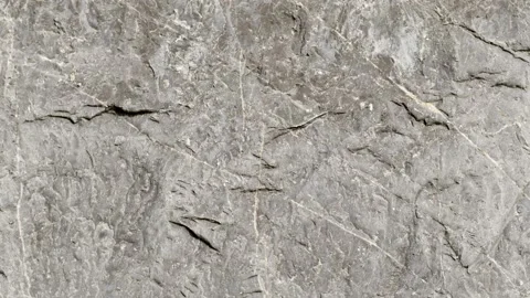 Stone Wall Stock Footage 165186484