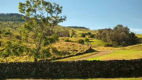 A Stone Wall in Front of a Tree with a Lush Mountain 動画素材 157076590