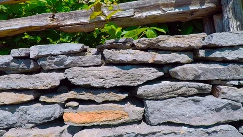 Stone wall in garden 스톡 동영상 87997966
