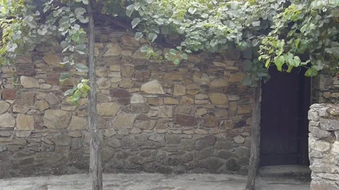 A stone wall with a grapevine and a slightly opened wooden door. Stock Footage 80248851