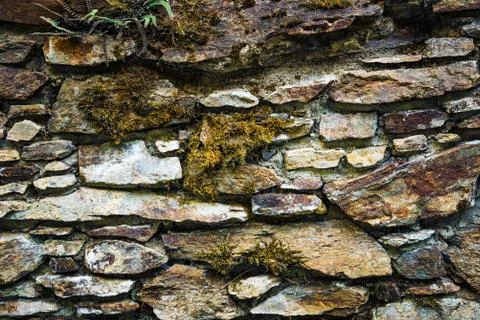 Stone wall with green moss background. Stock Photos