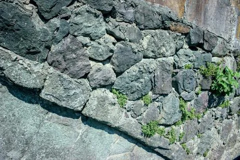 Stone wall made of large gray boulders with green plants Stock Photos