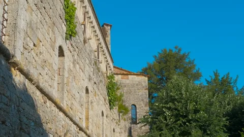 Stone wall of a medieval castle moving in the wind Stock Footage 345399755