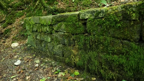 Stone wall with moss. 4k, slow motion. Stock Footage 95650164