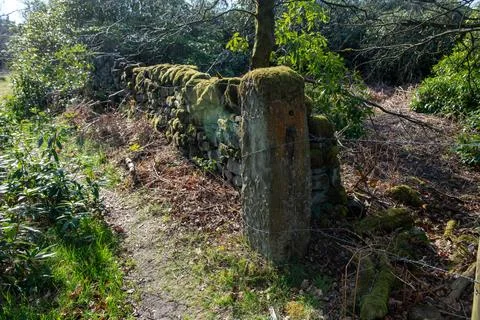 A stone wall with moss growing on it 스톡 사진