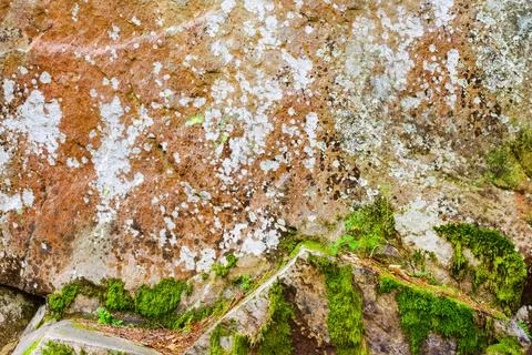 Stone wall with moss on it. Stock Photos