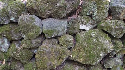 Stone wall with moss on its surface Stock Photos