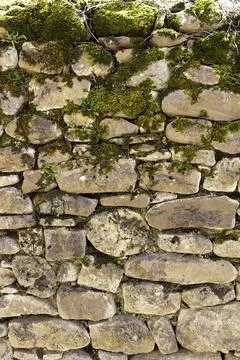 Stone wall with moss Stock Photos