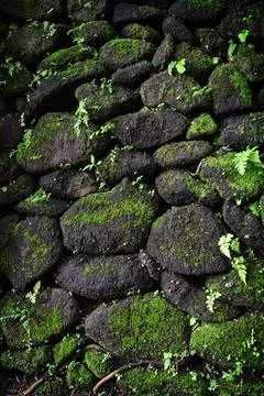 Stone wall with moss Stock Photos