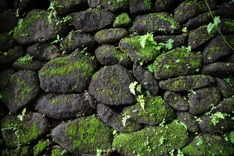 Stone wall with moss Stock Photos