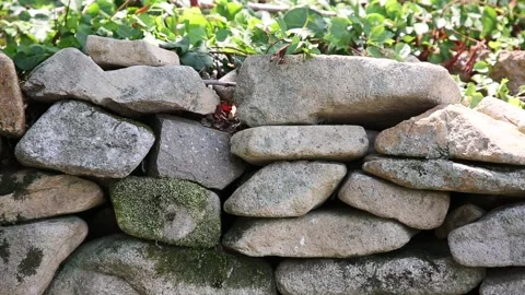 Stone wall in the nature Stock-Footage 310156783