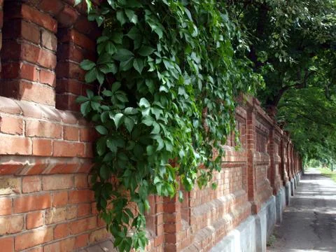 Stone wall of the old brick Stock Photos