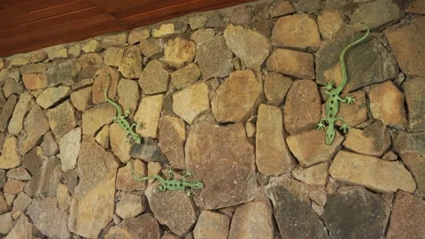 A stone wall with patterned fake lizards in a country house in 4k Vidéo 199471400