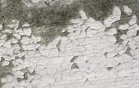 Stone wall 库存照片