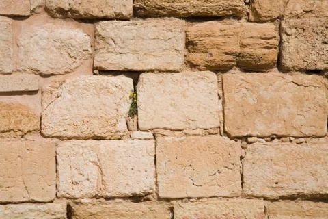 Stone wall Stock Photos