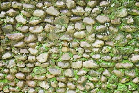 Stone wall. Stock Photos