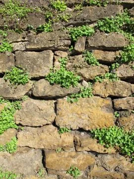 Stone wall Stock Photos