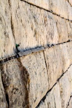 Stone wall Stock Photos