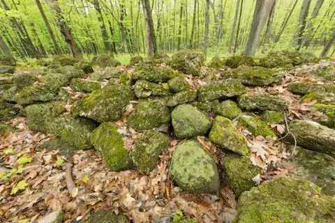 Stone Wall Stock Photos