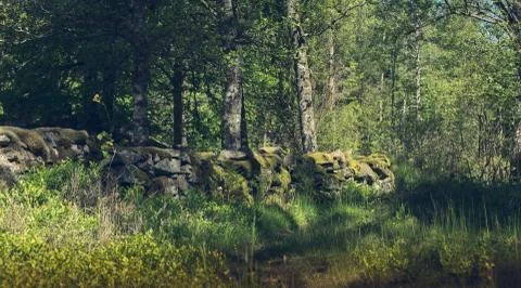 Stone wall 写真素材