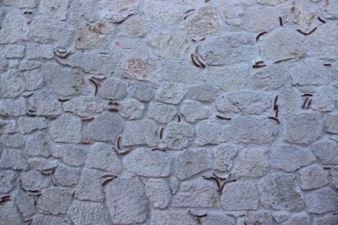 Stone wall Stock Photos