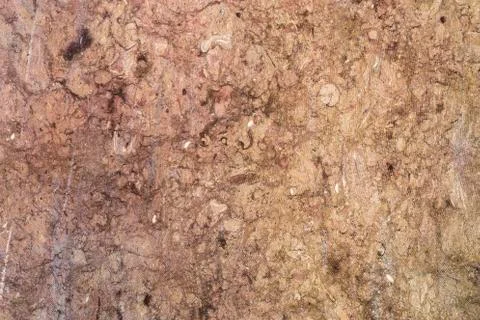 Stone wall Stock Photos