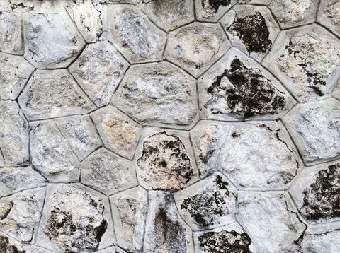 The stone wall. Stock Photos