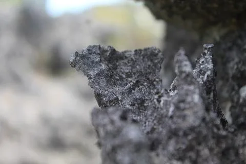 Stone wall Stock Photos