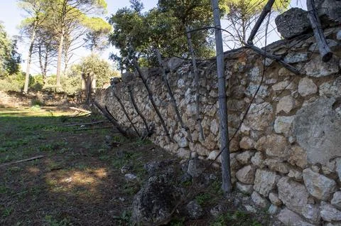 Stone wall Stock Photos