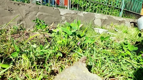 Stone Wall Secrets: Master Masonry Techniques with Your Hands Video stock 312976976