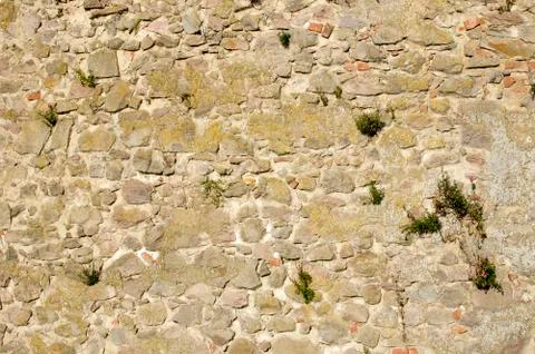 Stone wall texture background natural color Foto stock