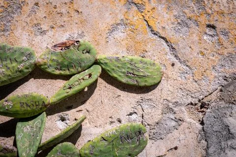 Stone wall texture background Stock Photos