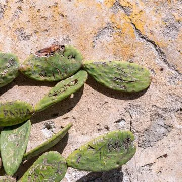 Stone wall texture background Stock-Fotos
