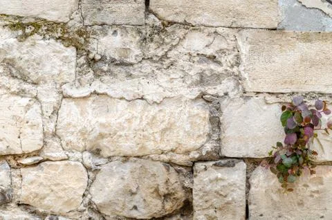 Stone wall texture background Stock-Fotos