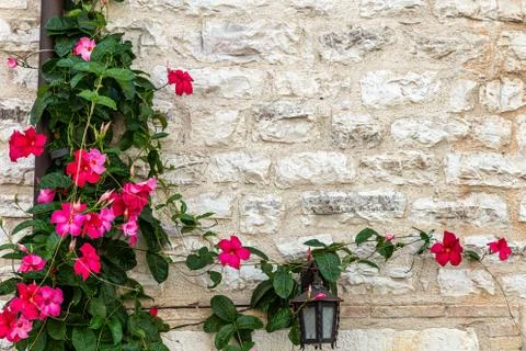 Stone wall texture background Stock-Fotos
