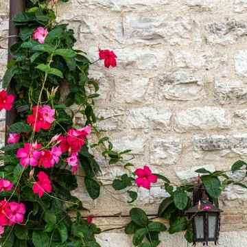 Stone wall texture background 스톡 사진