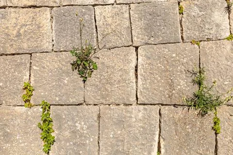 Stone wall texture background Stock Photos