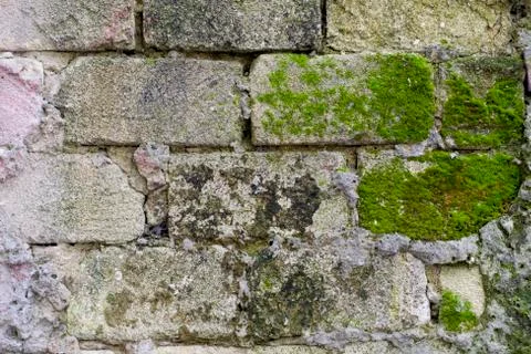 Stone wall texture with moss Stock Photos