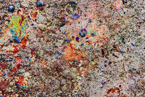 Stone wall texture. particles of shells stick out of the stone, the texture.. Stock Photos