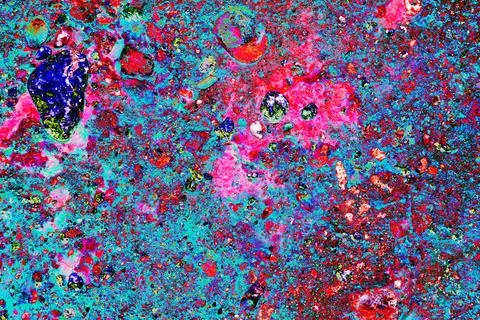 Stone wall texture. particles of shells stick out of the stone, the texture.. Stock Photos