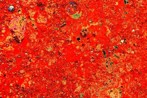 Stone wall texture. particles of shells stick out of the stone, the texture.. Stock Photos