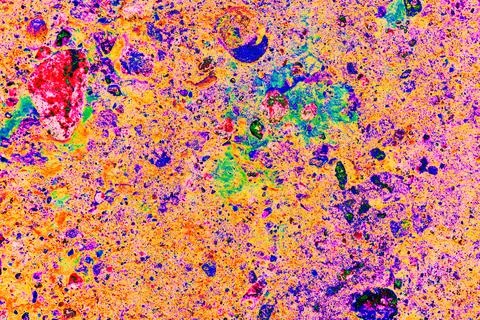 Stone wall texture. particles of shells stick out of the stone, the texture.. Stock Photos