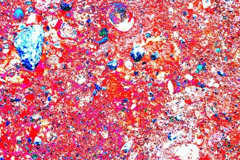 Stone wall texture. particles of shells stick out of the stone, the texture.. Stock Photos