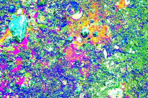 Stone wall texture. particles of shells stick out of the stone, the texture.. Stock Photos