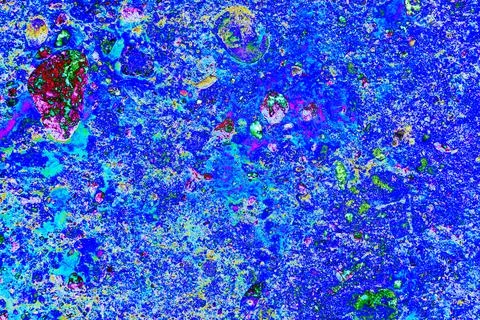 Stone wall texture. particles of shells stick out of the stone, the texture.. Stock Photos