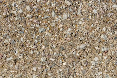 Stone wall texture. pieces of shells stick out of the stone. textured design 스톡 사진